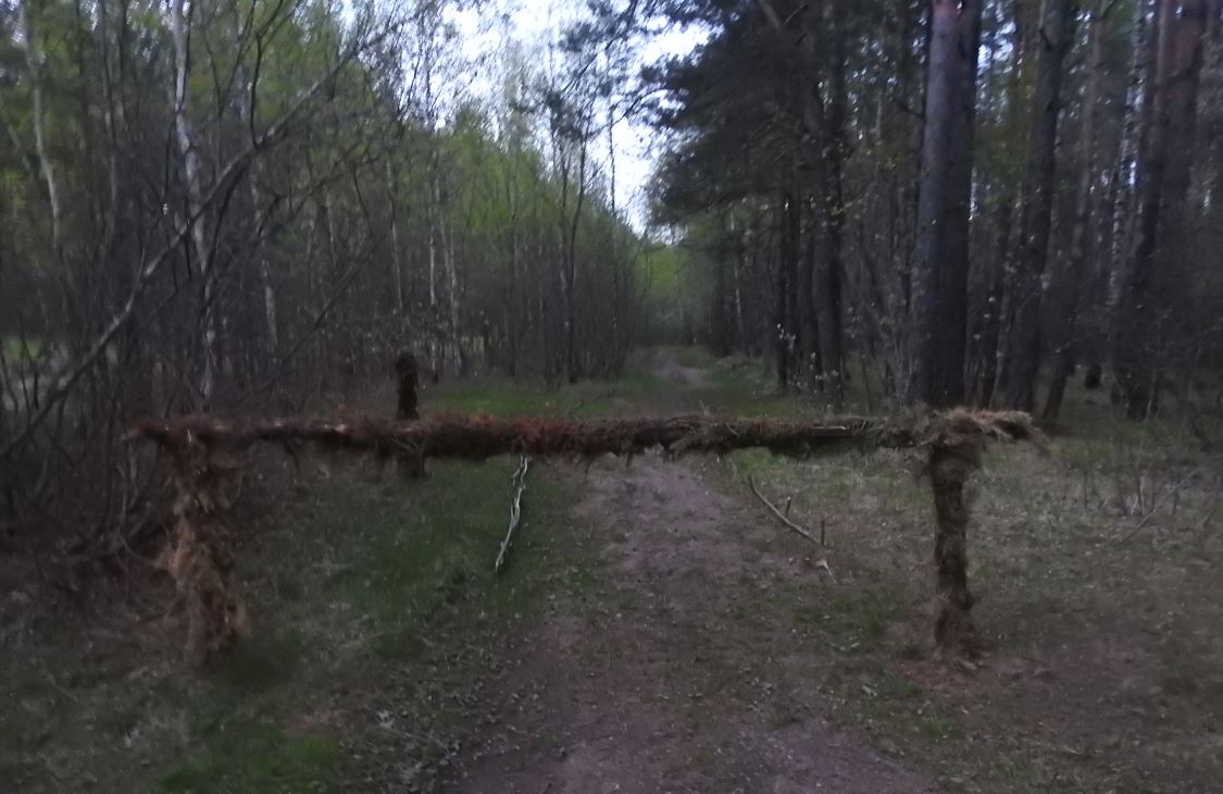 ФСБ и горы мусора: как выглядит лесной лагерь военных инженеров под Минском