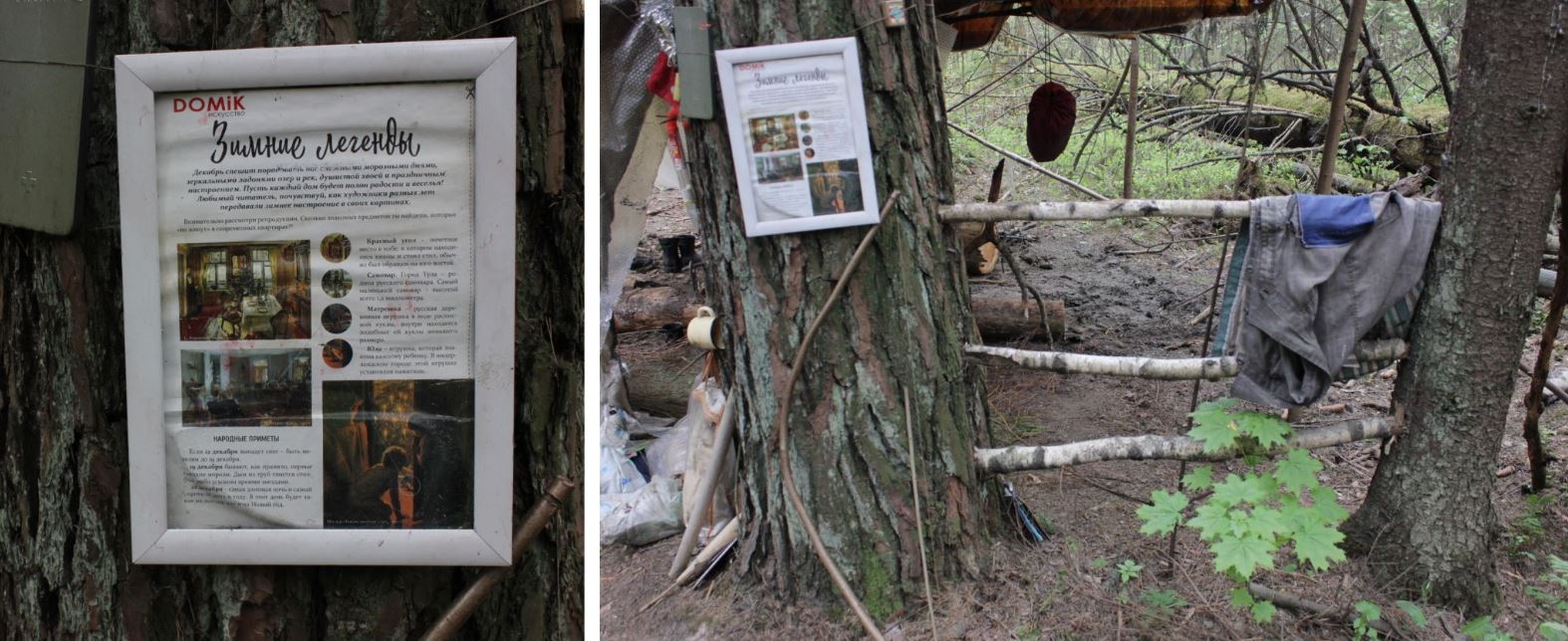 Книги, яблоки и йога: парень пять лет живёт отшельником в лесу под Минском