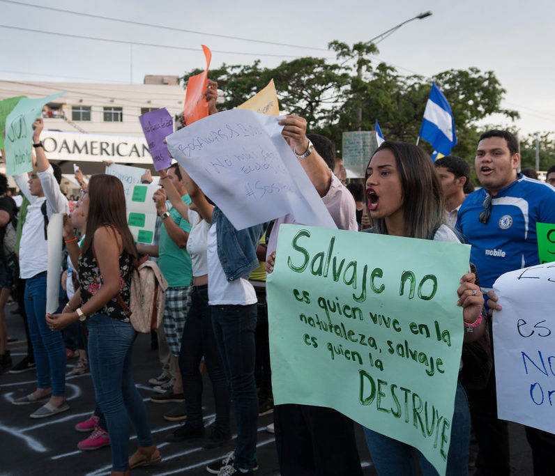 Оружие и объект преследования: как флаг стал символом сопротивления в Никарагуа