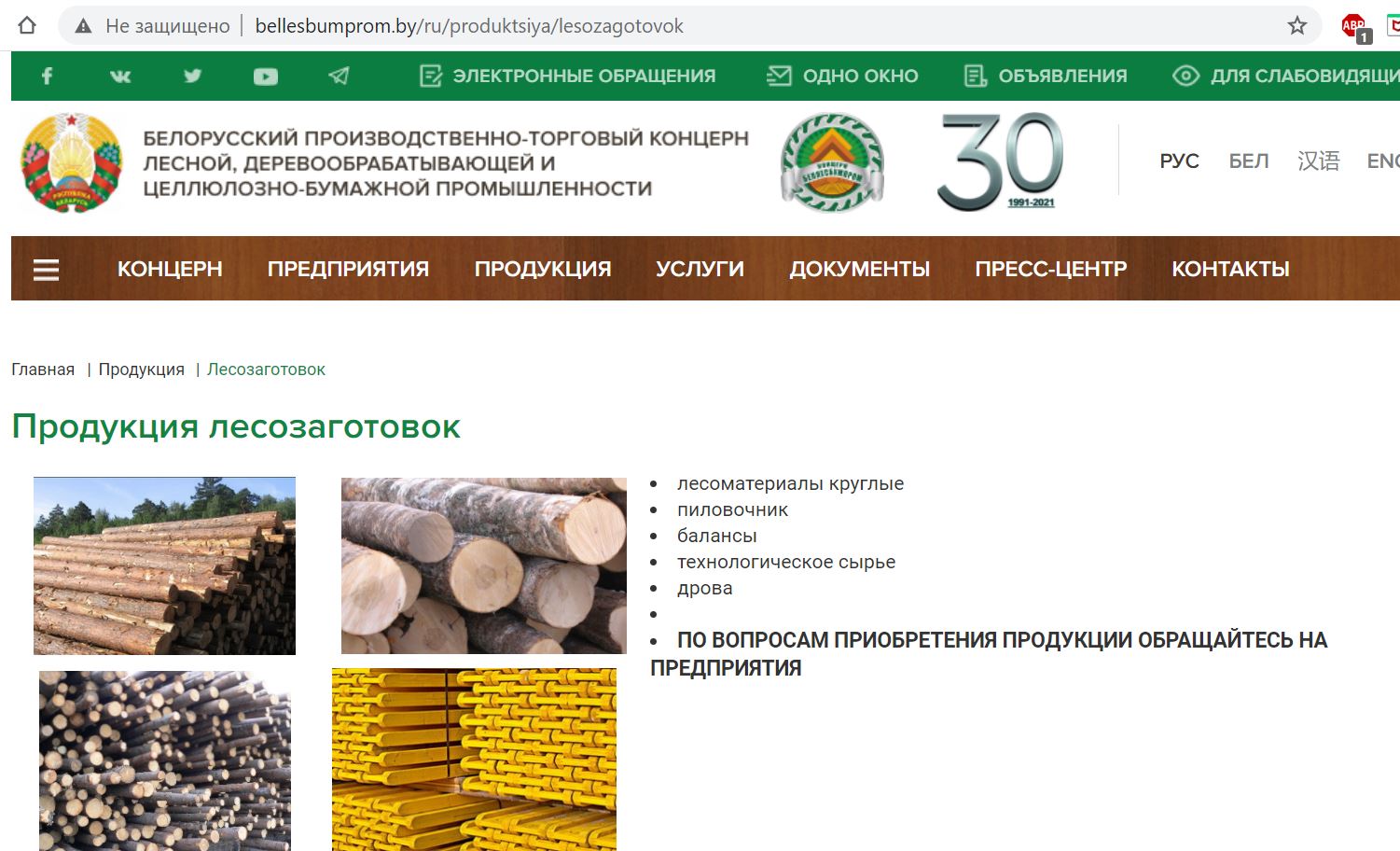 За 20 лет вырубка кругляка в Беларуси выросла в 4-5 раз