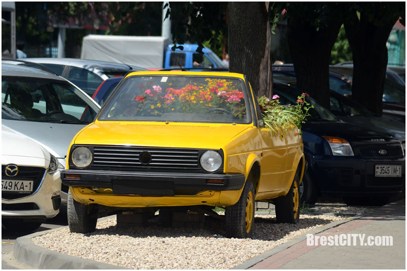 Фотафакт: У Брэсце са старога VW Golf зрабілі клумбу з кветкамі