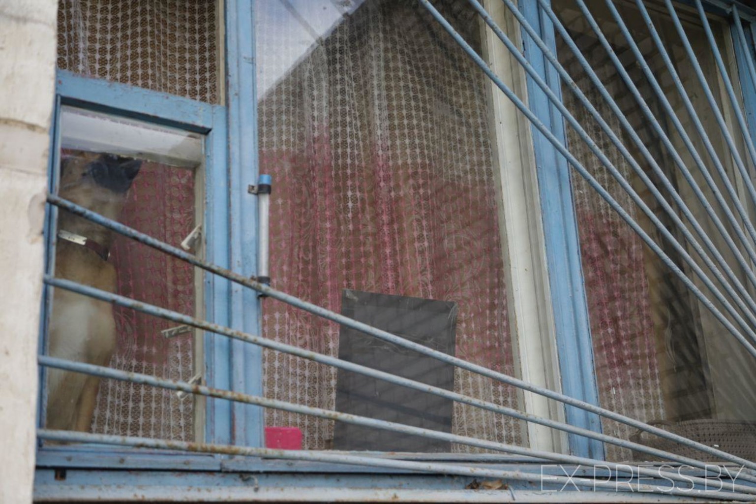 Мать троих детей вывесила БЧБ-флаг в окне общежития: его сняли, а её выселяют