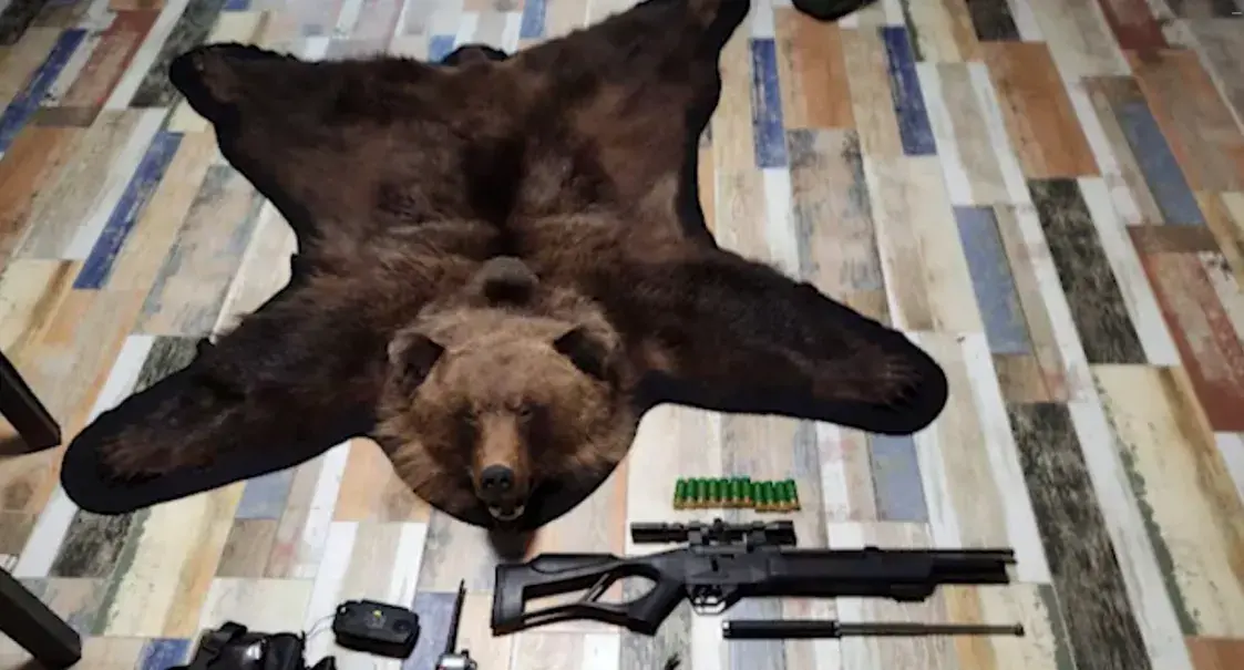 В Витебской области за охоту с вертолета на медведя задержали 19 человек