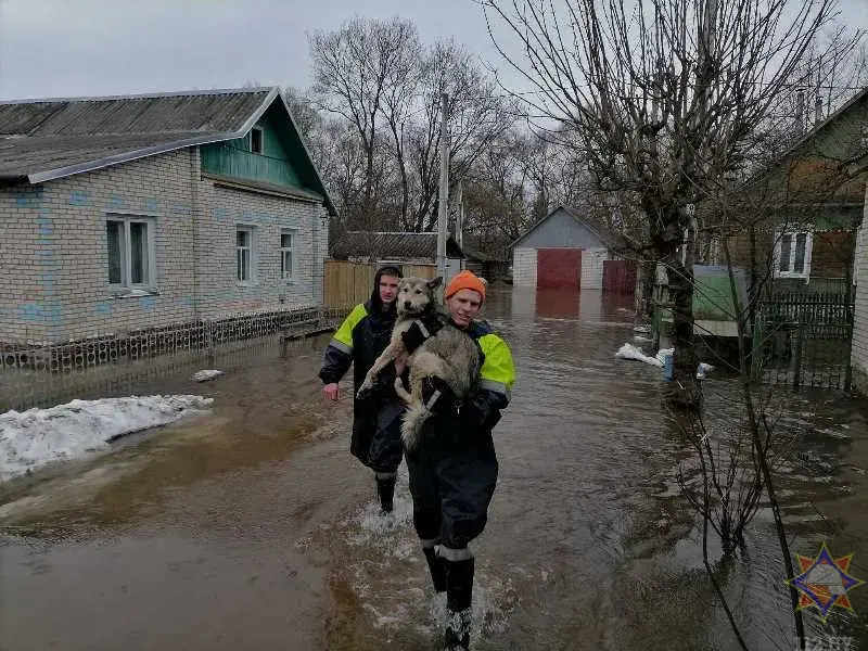 Ратавальнікі распавялі пра наступствы паводкі на Віцебшчыне: эвакуявалі людзей