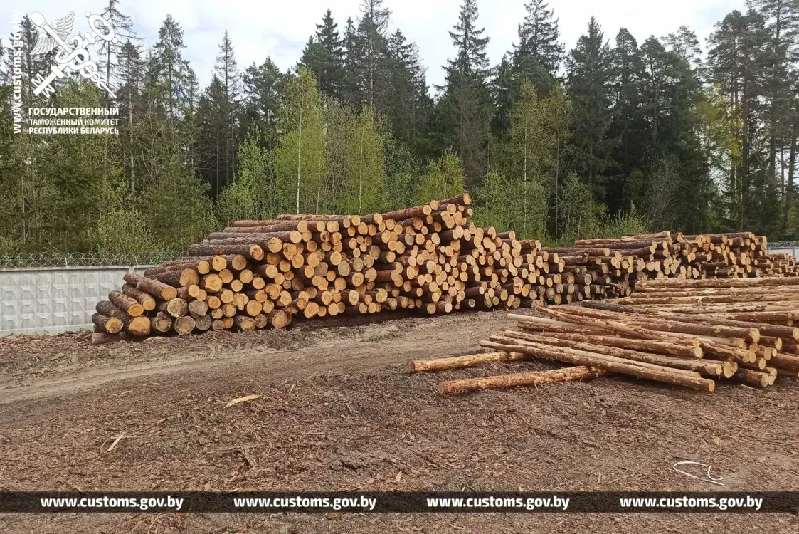 Мытня не выпусціла з Беларусі 900 тон лесаматэрыялаў