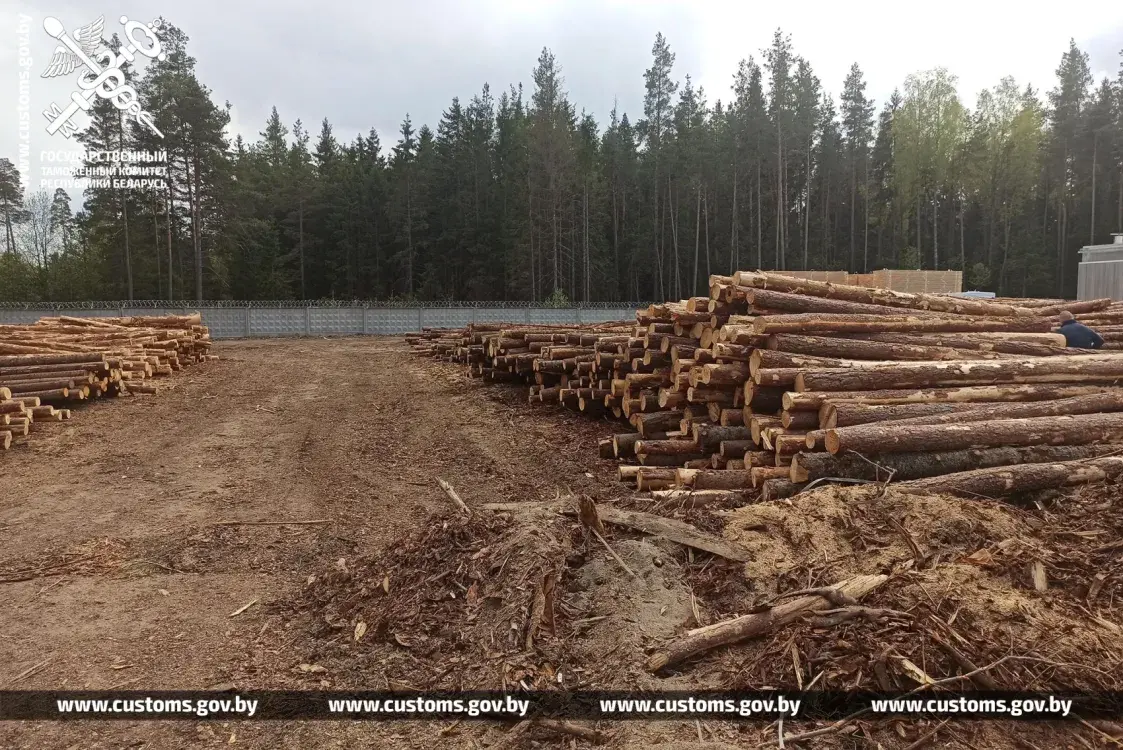 Мытня не выпусціла з Беларусі 900 тон лесаматэрыялаў
