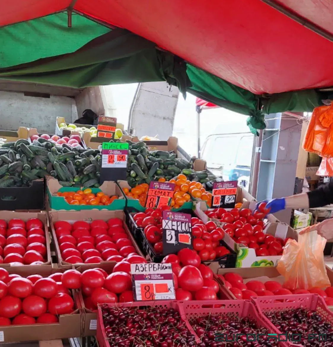 Фото дня: херсонские помидоры на базаре под Минском