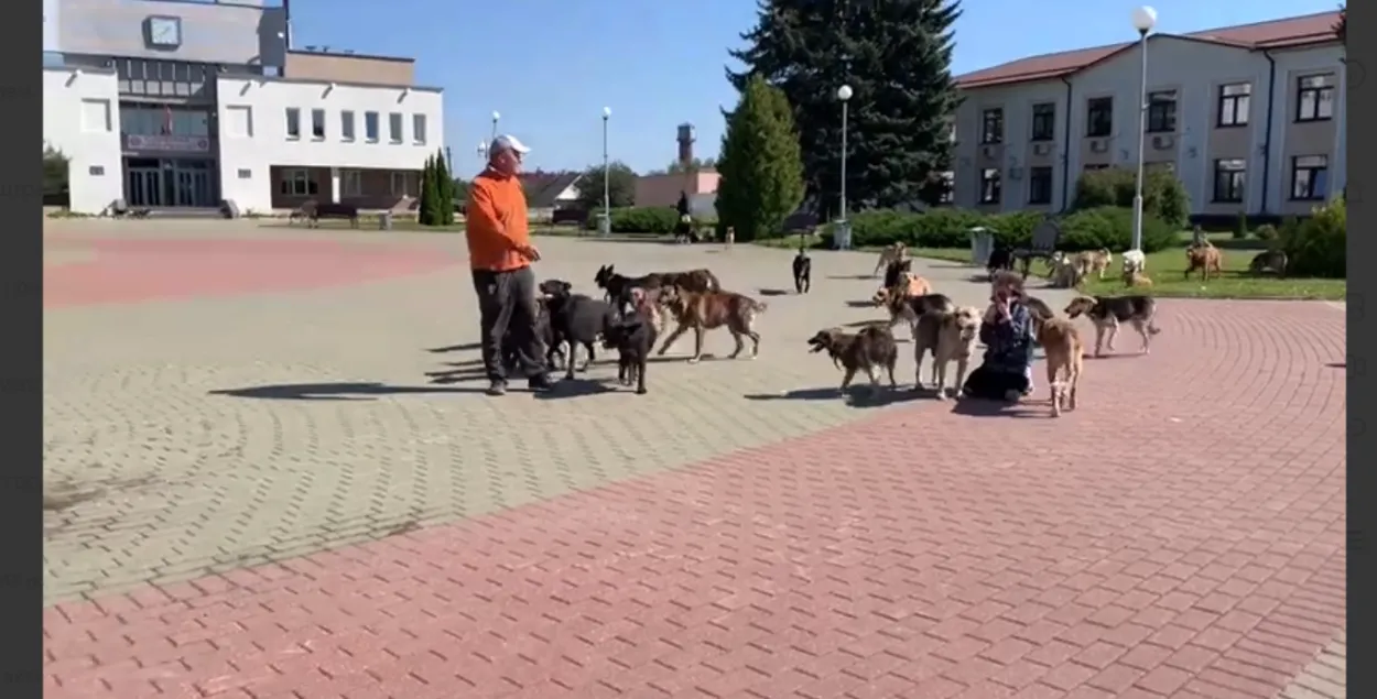Крик души: зачем зоозащитник вывел на площадь к исполкому 50 собак?