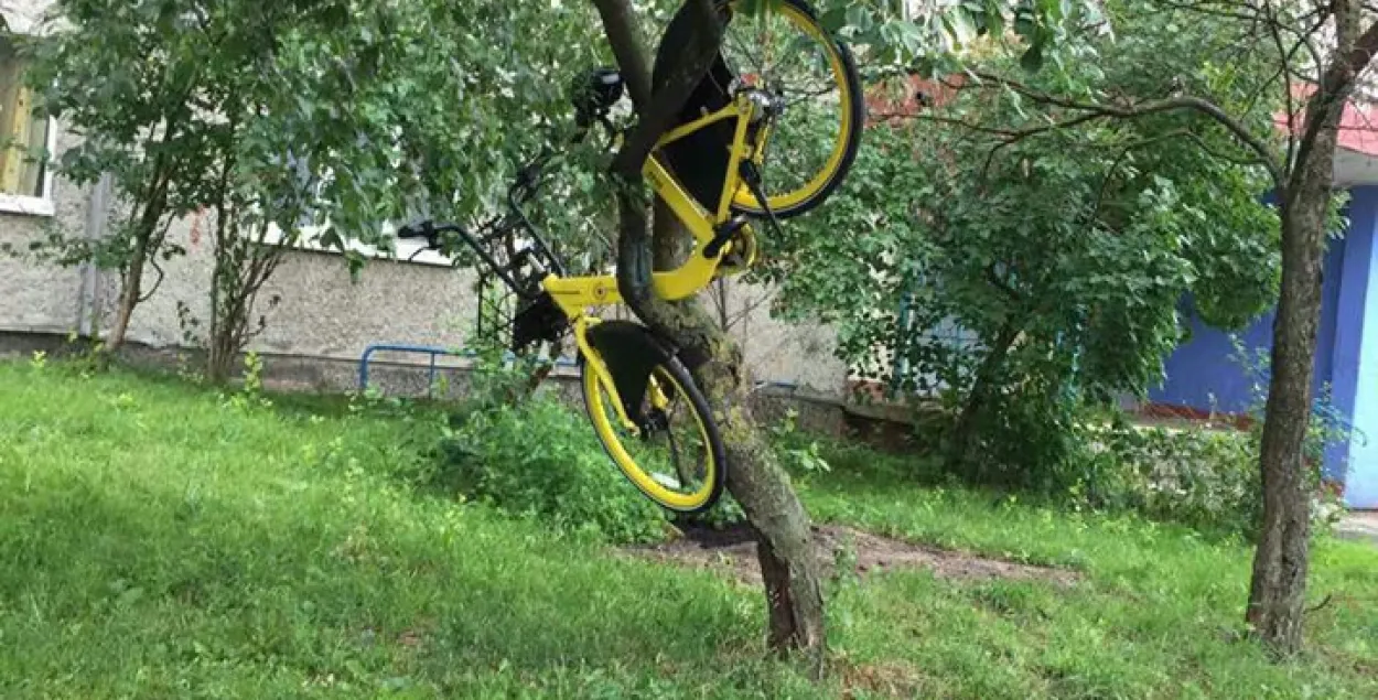 Выкидывают, вешают на деревья: что минчане делают с прокатными велосипедами