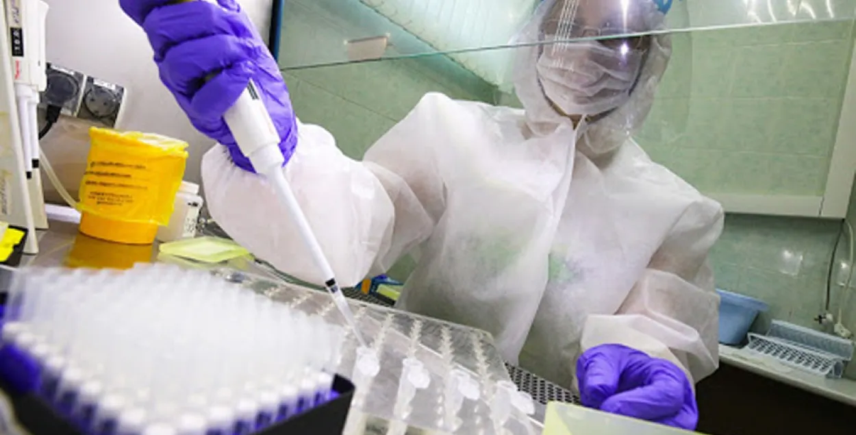 По официальным данным в Беларуси уже провели почти полмиллиона тестов на коронавирус / sb.by