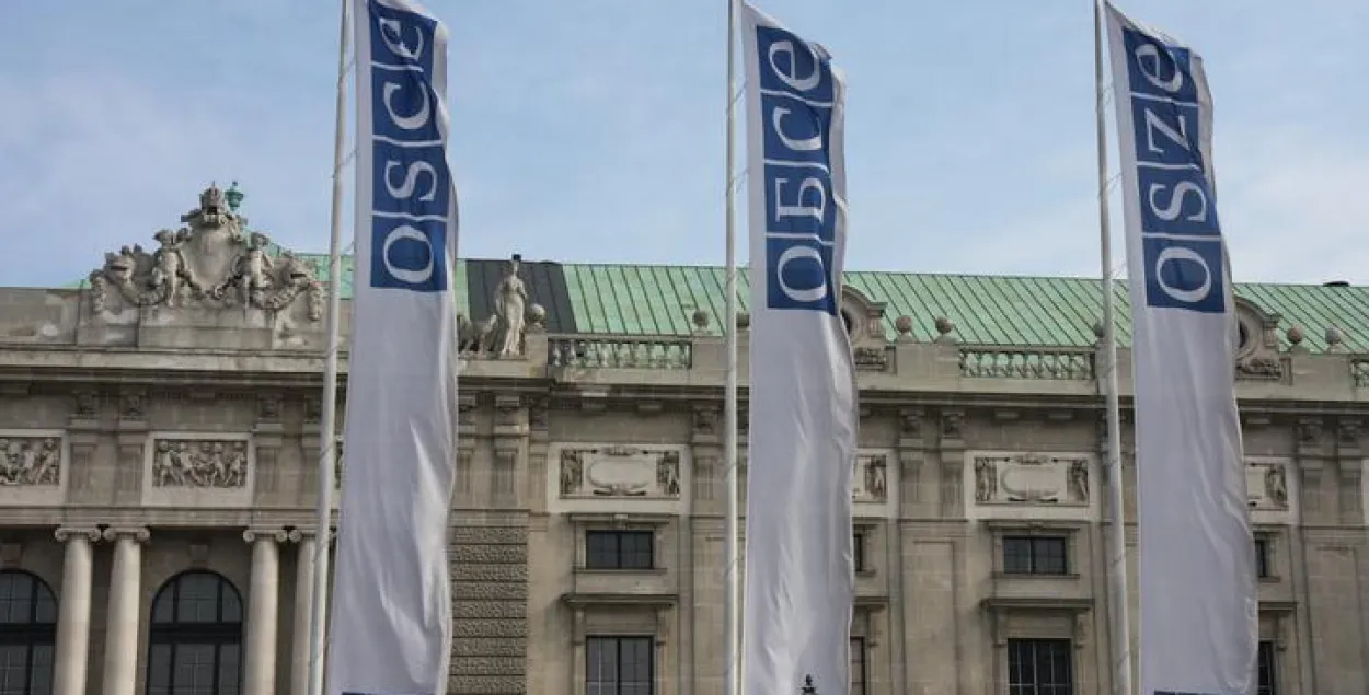 ОБСЕ не считает Беларусь участницей войны в Украине&nbsp;/ osce.org
