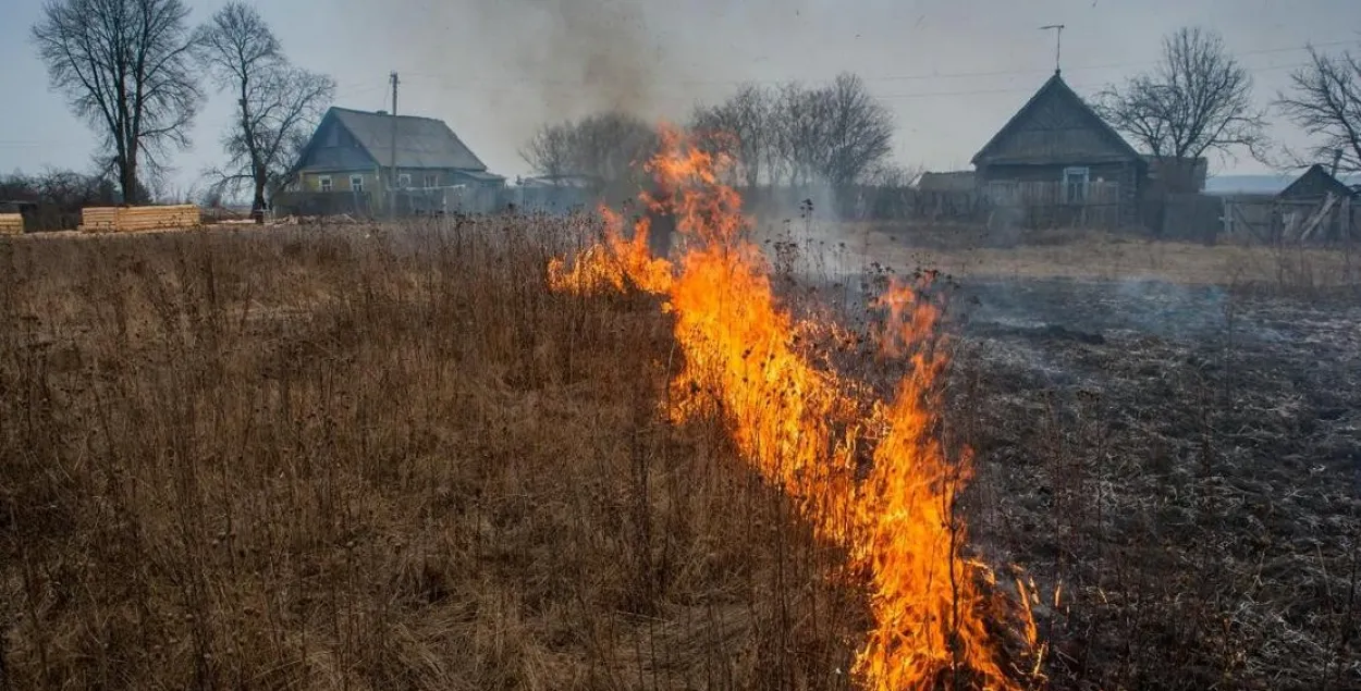 В Беларуси объявили красный уровень опасности