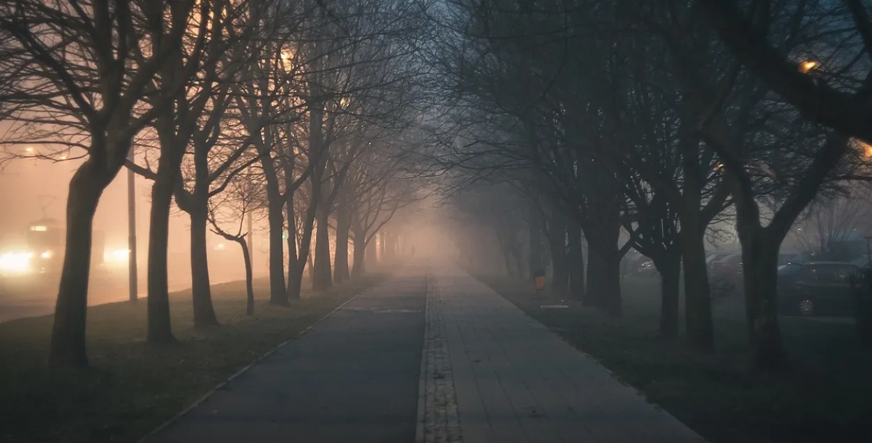 В отдельных районах ночью и утром возможен туман / pixabay.com
