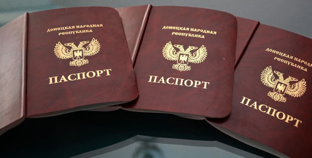 Так выглядят паспорта &quot;ДНР&quot;