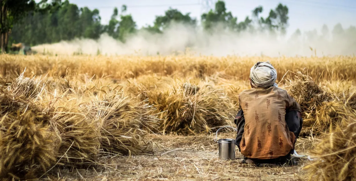 ООН бьёт тревогу: миллионы людей могут столкнуться с голодом