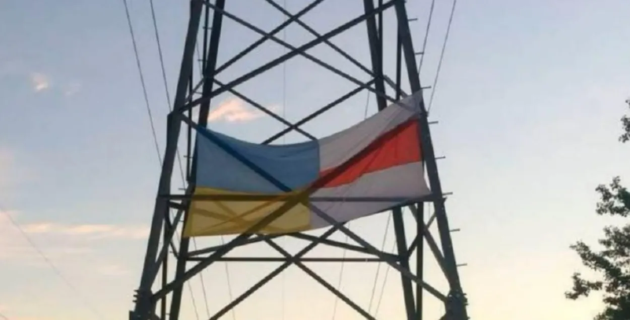 Флаг на опоре линии электропередач / Скриншот с видео МВД
