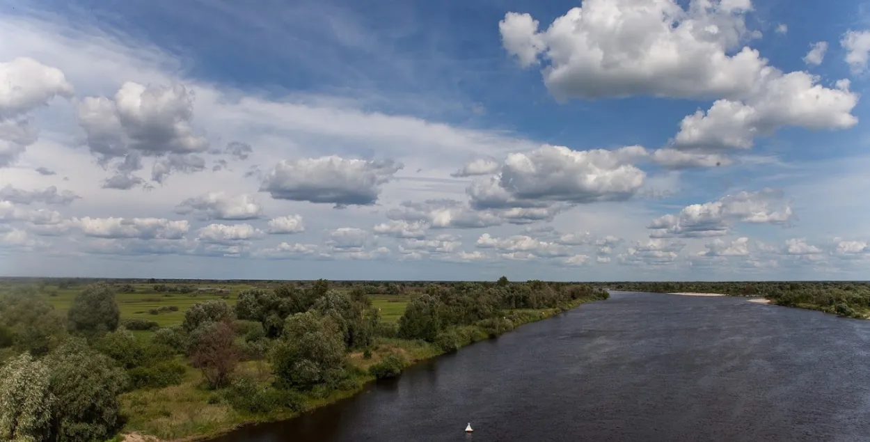 Погода на 6 июня в Беларуси: кратковременные дожди и до 27 градусов 
