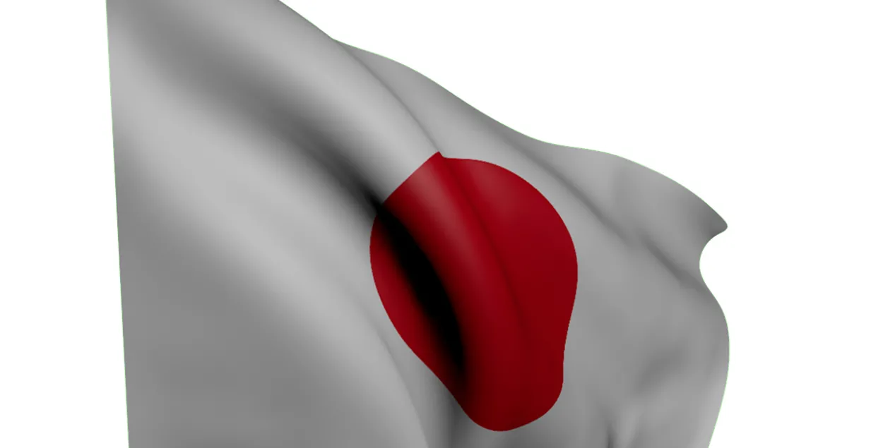 Япония ввела новые санкции против официального Минска​ / pixabay.com