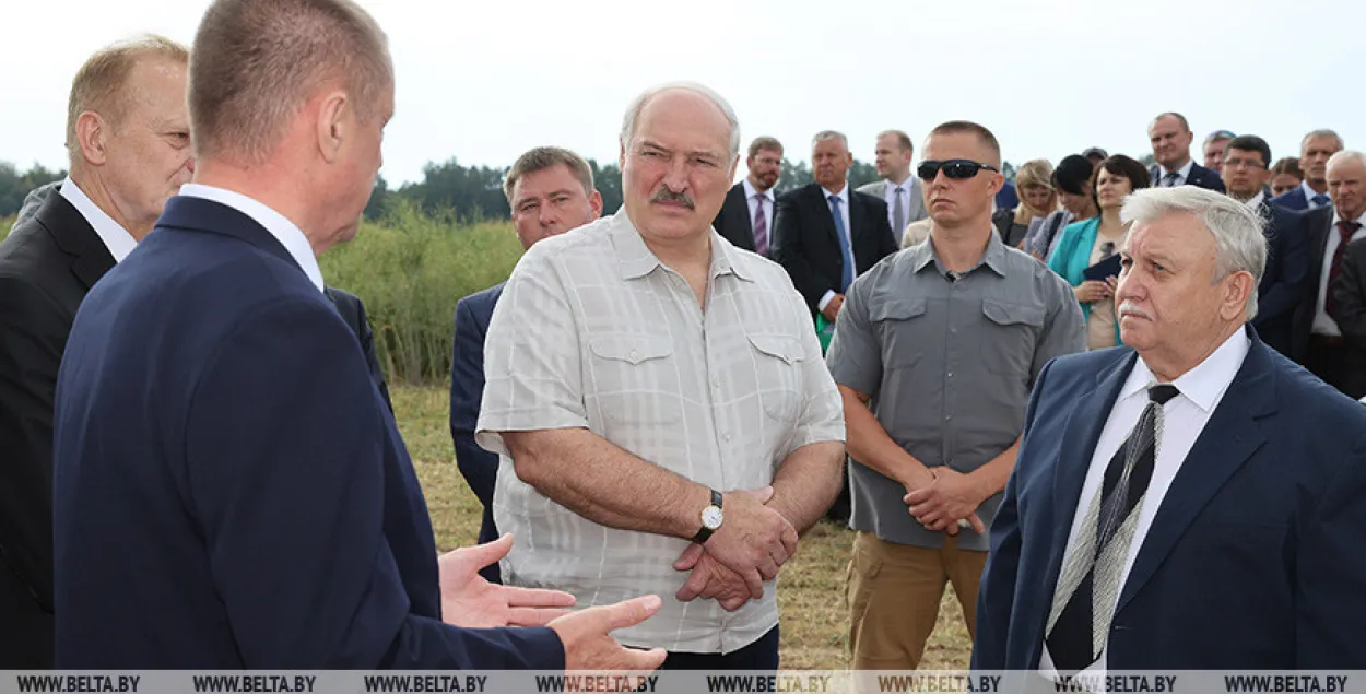Лукашенко требует диктатуру в сельском хозяйстве / БЕЛТА​