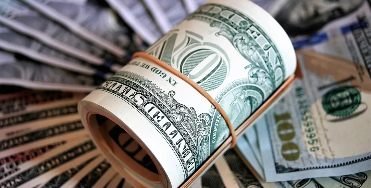 Такие курсы иностранных валют будут в Беларуси все ближайшие выходные / pixabay.com