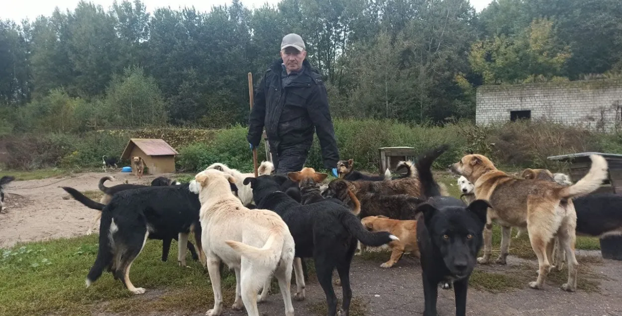 “Всех собак повесили на папу”. История белоруса, который приютил сотни собак