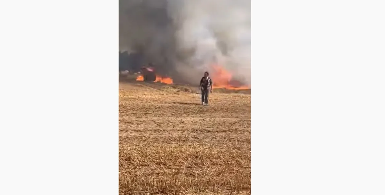Пожар возле Озерца / Скриншот из видео