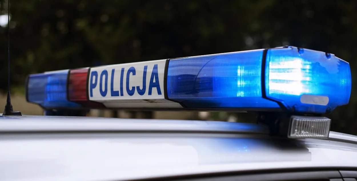 Полиция Польши / pixabay.com, иллюстративное фото
