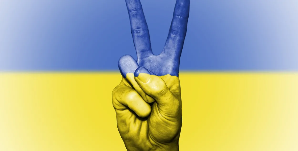 Могилевчанина задержали за поддержку Украины / pixabay.com​