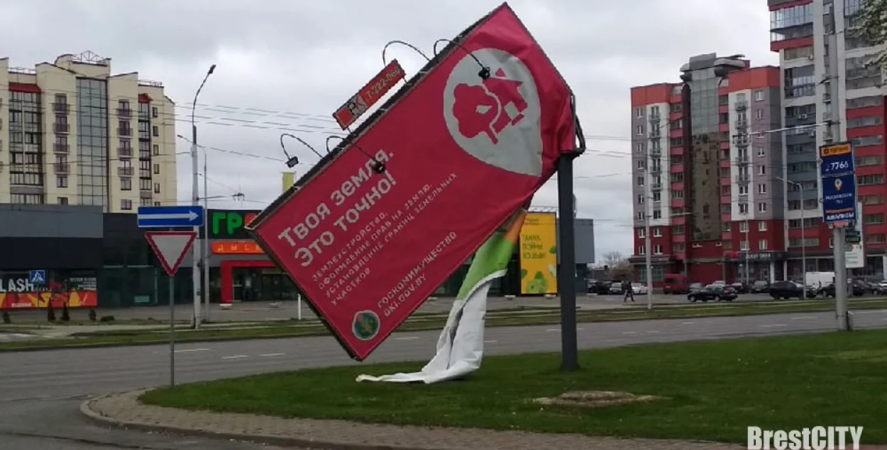 Ветер валит деревья и билборды — МЧС советует обходить опасные конструкции 
