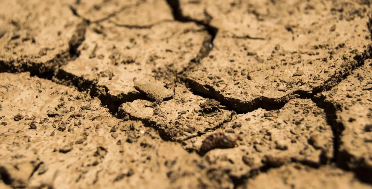 Еўракамісія: засуха 2022-га — наймацнейшая за паўтысячы гадоў