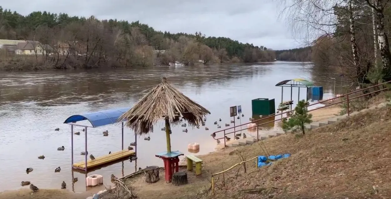 Наводнение в Гродно
