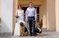 The wedding of dog trainers in Baranavichy / intex-press.by