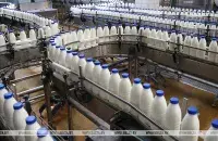 В Беларуси поднимают цены на молочную продукцию / БЕЛТА​