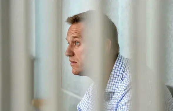 Аляксей Навальны / Vasily MAXIMOV AFP/File​