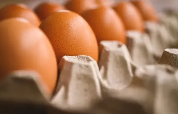 В этом году Беларусь резко увеличила экспорт яиц в РФ
