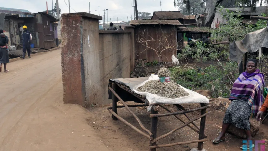 Як жывуць людзі ў Кіберы — самых вялікіх трушчобах Афрыкі (фота)